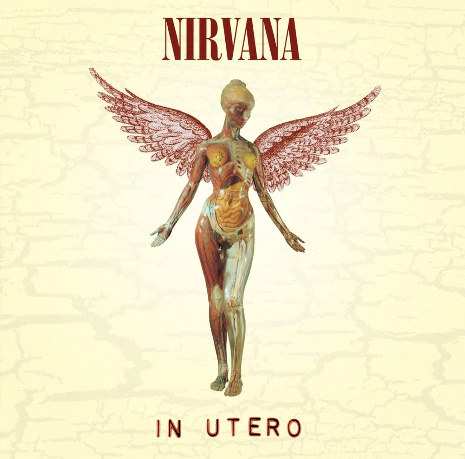 NIRVANA IN UTERO レコード LP EUオリジナル Nirvana - In Utero Plak LP - 720642453612